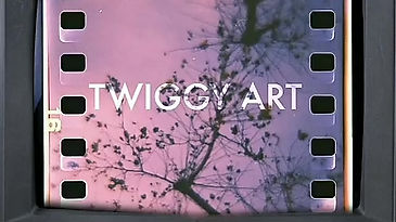 Twiggy Art Promotional Video